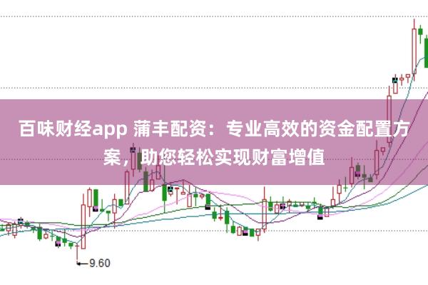百味财经app 蒲丰配资：专业高效的资金配置方案，助您轻松实现财富增值