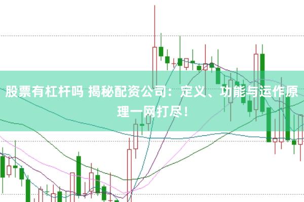 股票有杠杆吗 揭秘配资公司：定义、功能与运作原理一网打尽！