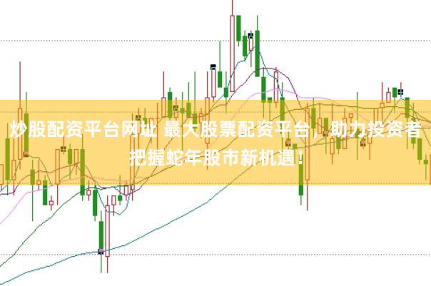 炒股配资平台网址 最大股票配资平台，助力投资者把握蛇年股市新机遇！