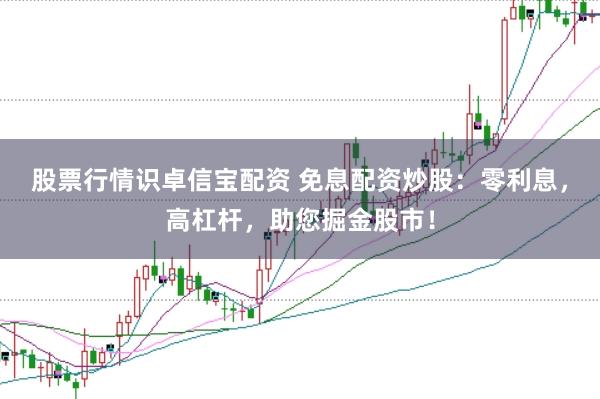 股票行情识卓信宝配资 免息配资炒股：零利息，高杠杆，助您掘金股市！