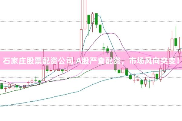 石家庄股票配资公司 A股严查配资，市场风向突变！