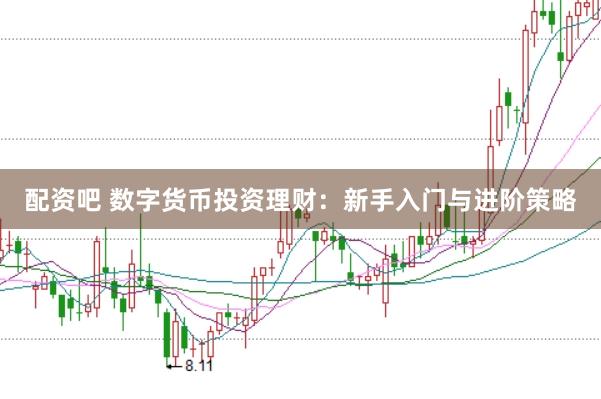 配资吧 数字货币投资理财:新手入门与进阶策略