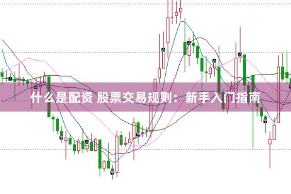 什么是配资 股票交易规则：新手入门指南