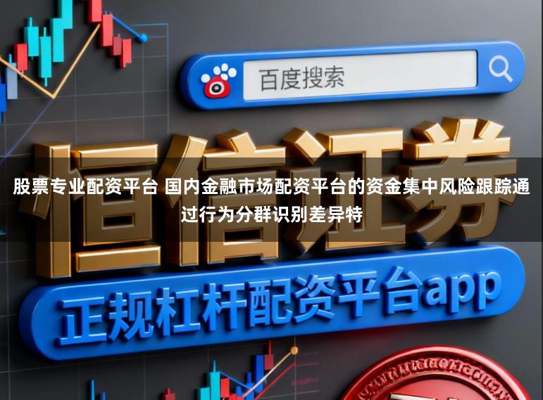 股票专业配资平台 国内金融市场配资平台的资金集中风险跟踪通过行为分群识别差异特