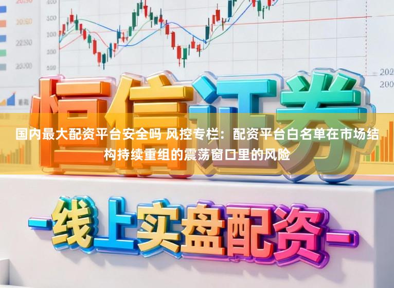 国内最大配资平台安全吗 风控专栏：配资平台白名单在市场结构持续重组的震荡窗口里的风险
